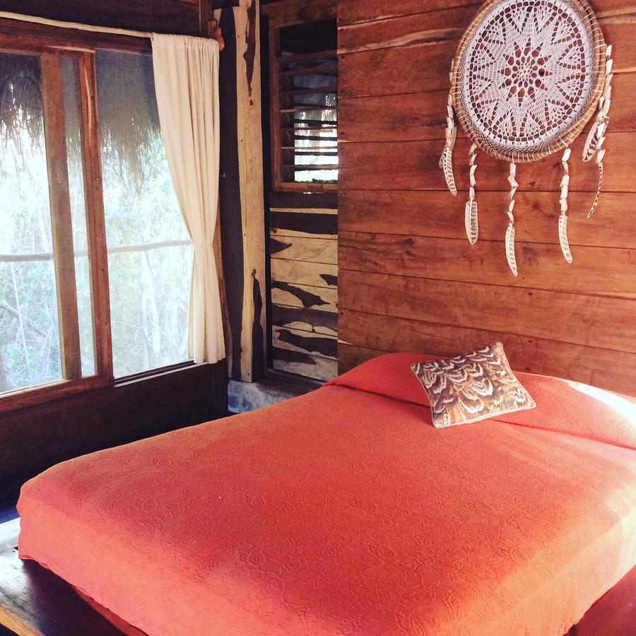 トゥルム Escarabajo Rojo Bed & Breakfast エクステリア 写真
