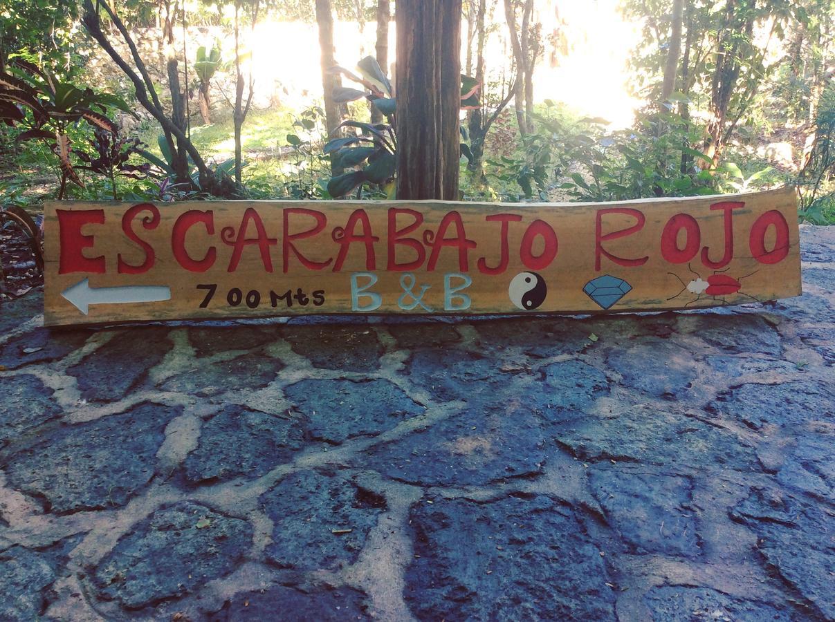 トゥルム Escarabajo Rojo Bed & Breakfast エクステリア 写真